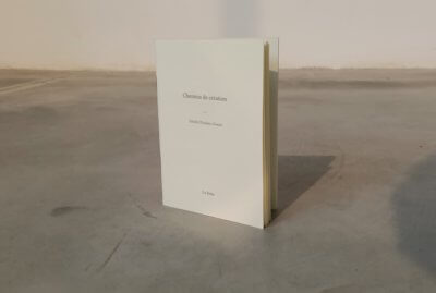 Livres - boîte -Férielle Doulain-Zouari - publicaitons