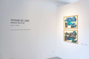 Exposition -Voyage de l'âme - Hammadi Ben Saad - La boite